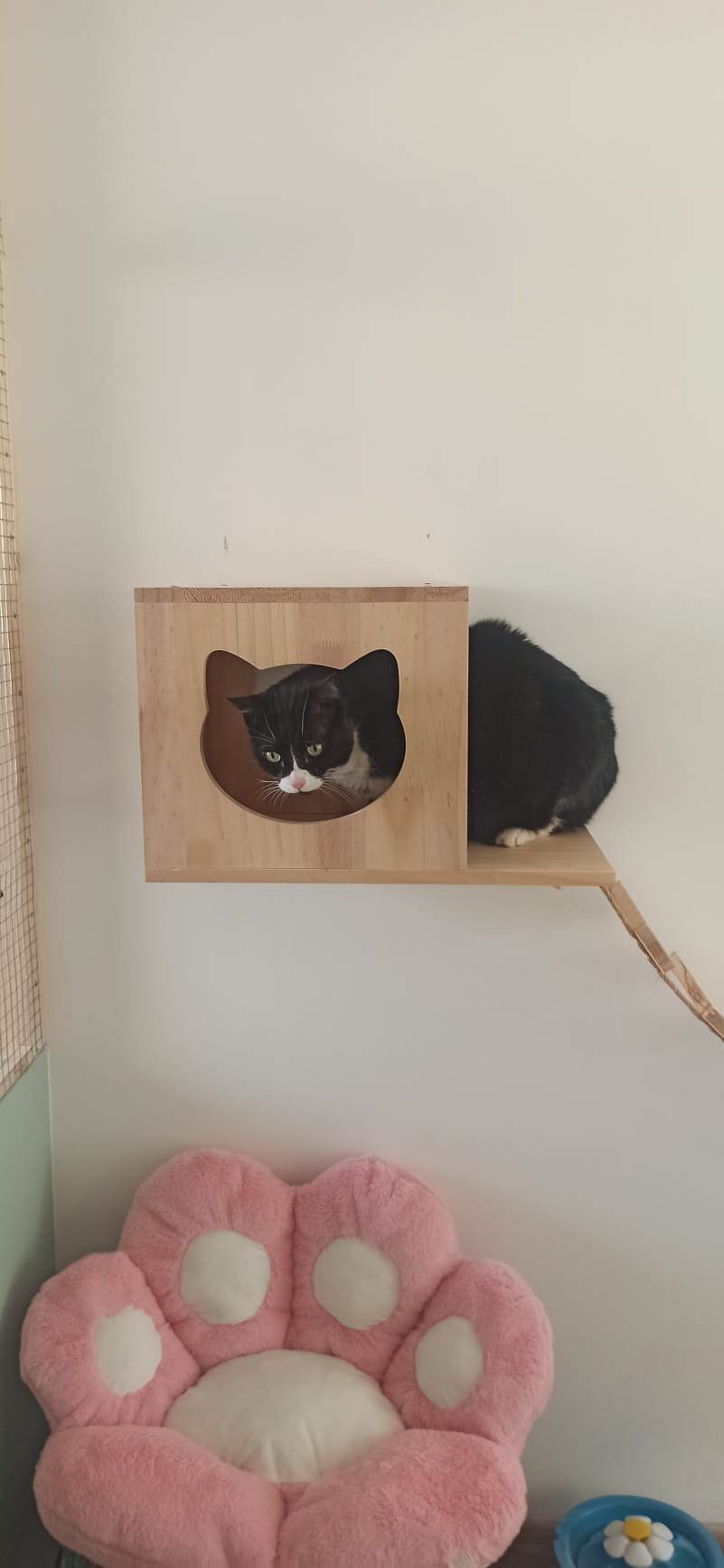 Illustration des boxes famille